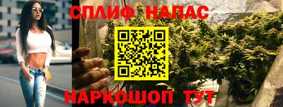индика Ставрополь