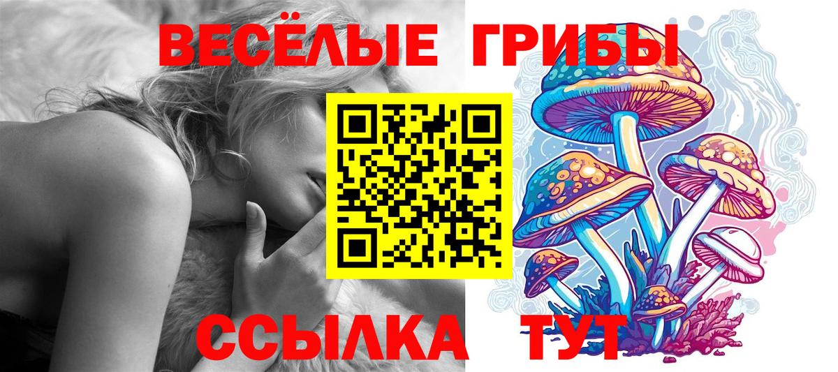 Псилоцибиновые грибы мицелий  Вход с VPN  Мариинск 